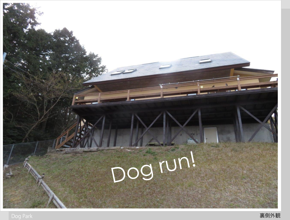 ドッグラン