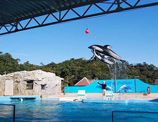 下田海中水族館