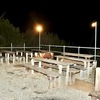 大型ＢＢＱ場