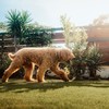 愛犬もご一緒に!