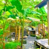 バナナの木に囲まれ開放感満載のBBQ!