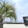 キレイな海をお楽しみください♪