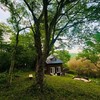 敷地内ケヤキの大木からの景色