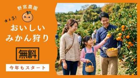 みかん食べ放題無料