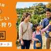 みかん食べ放題無料