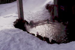 いっぱいの雪に囲まれた　露天風呂