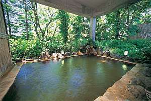 自然の中に身を置いてしばし極楽気分の貸切露天風呂