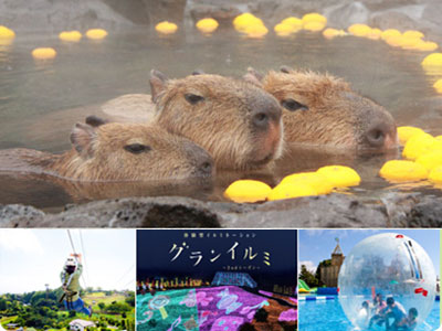 伊豆シャボテン公園グループ