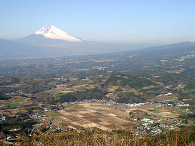 酪農王国オラッチェ